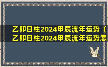 乙卯日柱2024甲辰流年运势（乙卯日柱2024甲辰流年运势怎么样）