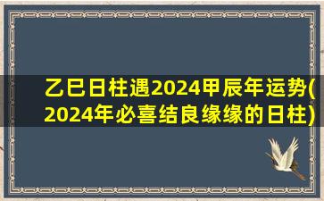 乙巳日柱遇2024甲辰年运势(2024年必喜结良缘缘的日柱)