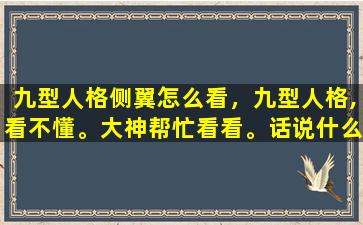 九型人格侧翼怎么看，九型人格,看不懂。大神帮忙看看。话说什么是侧翼和副翼