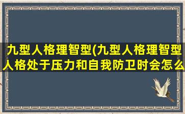 九型人格理智型(九型人格理智型人格处于压力和自我防卫时会怎么样)