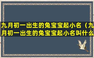 九月初一出生的兔宝宝起小名（九月初一出生的兔宝宝起小名叫什么好）