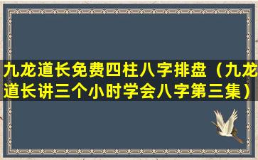 九龙道长免费四柱八字排盘（九龙道长讲三个小时学会八字第三集）