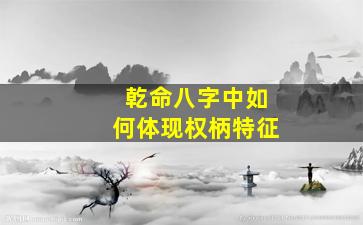 乾命八字中如何体现权柄特征