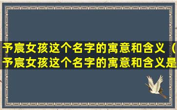 予宸女孩这个名字的寓意和含义（予宸女孩这个名字的寓意和含义是什么）