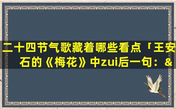 二十四节气歌藏着哪些看点「王安石的《梅花》中zui后一句：“为有暗香来”的正确拼音是什么」