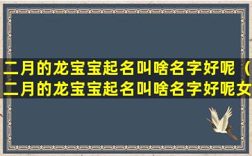 二月的龙宝宝起名叫啥名字好呢（二月的龙宝宝起名叫啥名字好呢女孩）