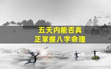 五天内能否真正掌握八字命理