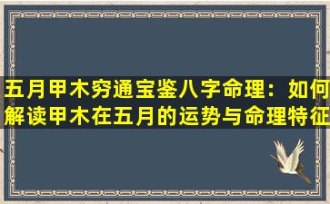 五月甲木穷通宝鉴八字命理：如何解读甲木在五月的运势与命理特征