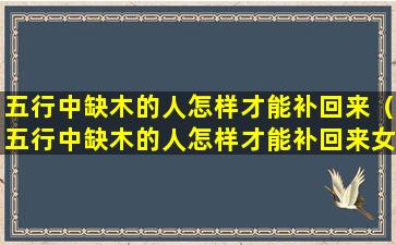 五行中缺木的人怎样才能补回来（五行中缺木的人怎样才能补回来女孩）