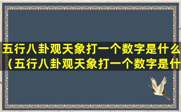 五行八卦观天象打一个数字是什么（五行八卦观天象打一个数字是什么意思）