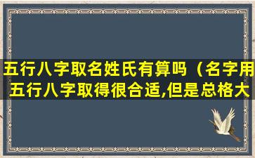 五行八字取名姓氏有算吗（名字用五行八字取得很合适,但是总格大凶）