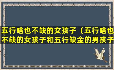 五行啥也不缺的女孩子（五行啥也不缺的女孩子和五行缺金的男孩子配吗）