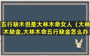 五行缺木但是大林木命女人（大林木缺金,大林木命五行缺金怎么办）