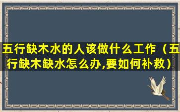 五行缺木水的人该做什么工作（五行缺木缺水怎么办,要如何补救）