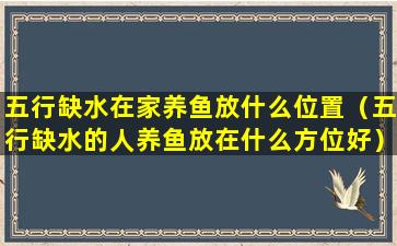 五行缺水在家养鱼放什么位置（五行缺水的人养鱼放在什么方位好）