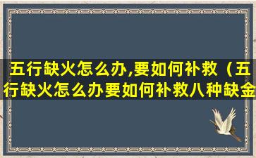 五行缺火怎么办,要如何补救（五行缺火怎么办要如何补救八种缺金补救法）