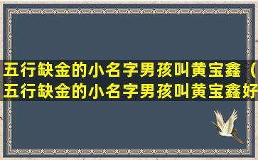 五行缺金的小名字男孩叫黄宝鑫（五行缺金的小名字男孩叫黄宝鑫好吗）