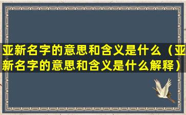 亚新名字的意思和含义是什么（亚新名字的意思和含义是什么解释）