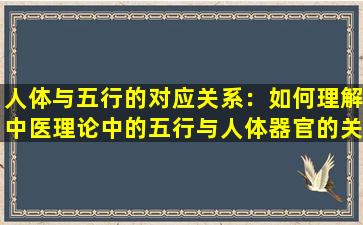 人体与五行的对应关系：如何理解中医理论中的五行与人体器官的关联