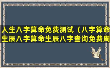 人生八字算命免费测试（八字算命生辰八字算命生辰八字查询免费周易八字算命网）