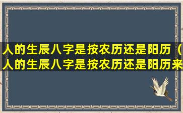 人的生辰八字是按农历还是阳历（人的生辰八字是按农历还是阳历来算）