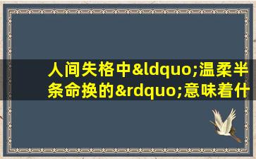 人间失格中“温柔半条命换的”意味着什么