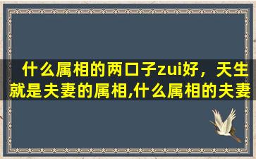 什么属相的两口子zui好，天生就是夫妻的属相,什么属相的夫妻zui般配