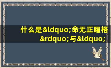 什么是“命无正曜格”与“紫府夹命格”