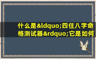 什么是“四住八字命格测试器”它是如何工作的