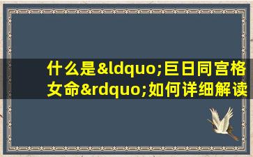 什么是“巨日同宫格女命”如何详细解读