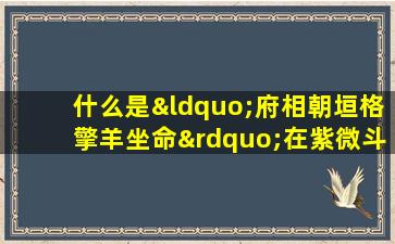 什么是“府相朝垣格擎羊坐命”在紫微斗数中的含义