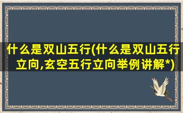 什么是双山五行(什么是双山五行立向,玄空五行立向举例讲解*)