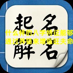 什么样的八字特征能够通过养猫来增强旺夫命