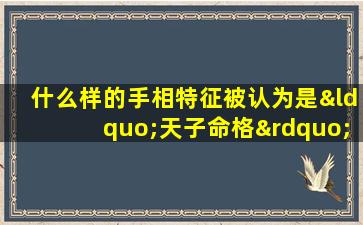 什么样的手相特征被认为是“天子命格”