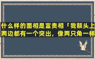 什么样的面相是富贵相「我额头上两边都有一个突出，像两只角一样，我想知道这在面相里是好是坏谢谢」