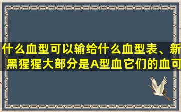 什么血型可以输给什么血型表、新黑猩猩大部分是A型血它们的血可以输给人吗