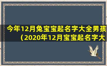 今年12月兔宝宝起名字大全男孩（2020年12月宝宝起名字大全寓意好）