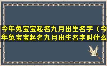 今年兔宝宝起名九月出生名字（今年兔宝宝起名九月出生名字叫什么）