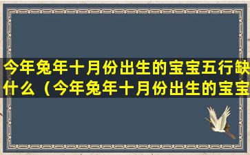 今年兔年十月份出生的宝宝五行缺什么（今年兔年十月份出生的宝宝五行缺什么属性）