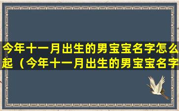 今年十一月出生的男宝宝名字怎么起（今年十一月出生的男宝宝名字怎么起好听）