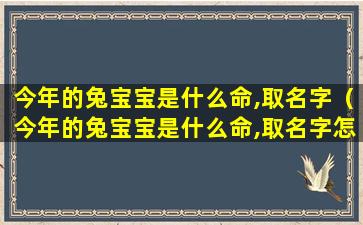 今年的兔宝宝是什么命,取名字（今年的兔宝宝是什么命,取名字怎么取）