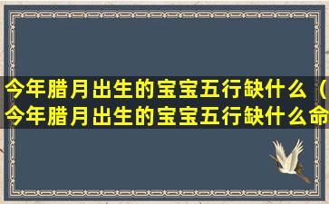 今年腊月出生的宝宝五行缺什么（今年腊月出生的宝宝五行缺什么命格）