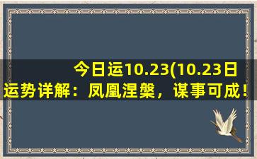 今日运10.23(10.23日运势详解：凤凰涅槃，谋事可成！)