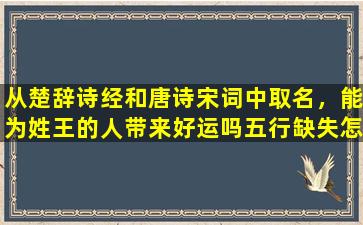 从楚辞诗经和唐诗宋词中取名，能为姓王的人带来好运吗五行缺失怎么办