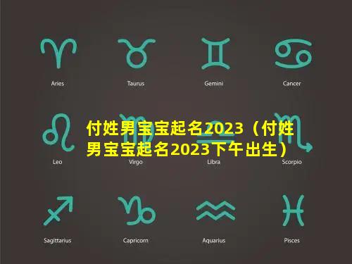 付姓男宝宝起名2023（付姓男宝宝起名2023下午出生）