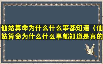 仙姑算命为什么什么事都知道（仙姑算命为什么什么事都知道是真的吗）