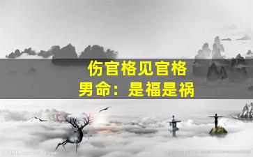 伤官格见官格男命：是福是祸