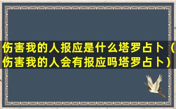 伤害我的人报应是什么塔罗占卜（伤害我的人会有报应吗塔罗占卜）