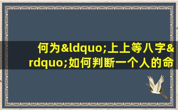 何为“上上等八字”如何判断一个人的命格是否属于此等级