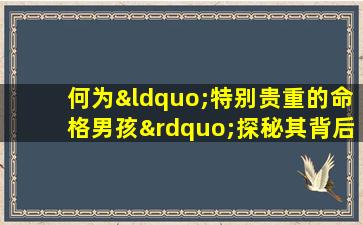 何为“特别贵重的命格男孩”探秘其背后的文化与价值